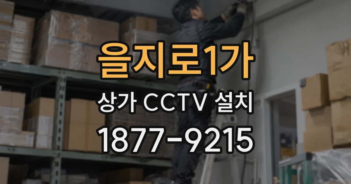 을지로1가 상가 CCTV 설치