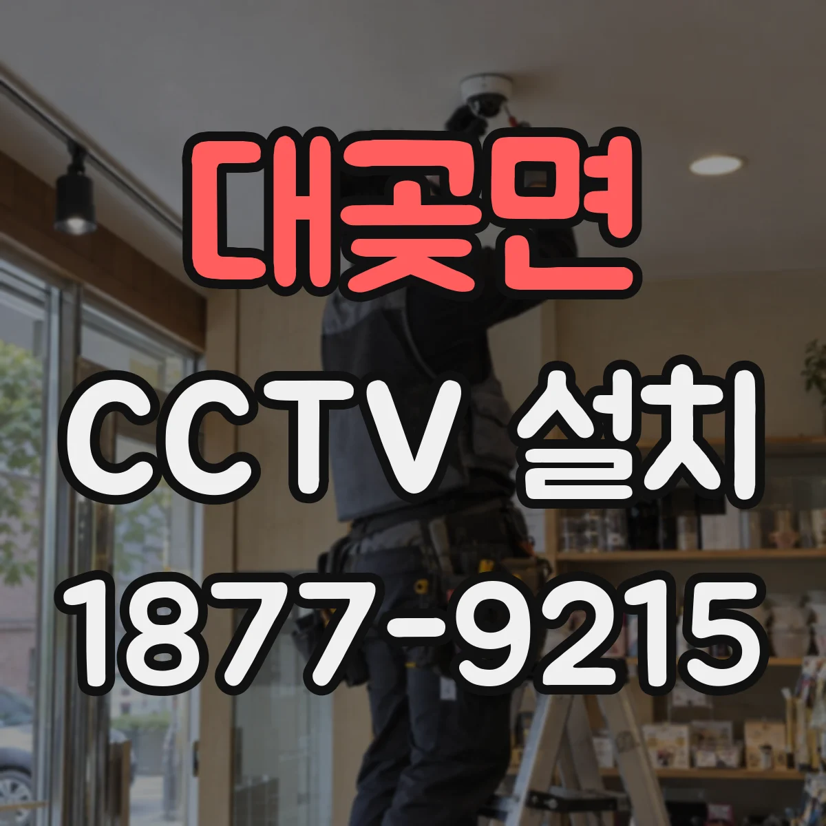 대곶면 CCTV 설치