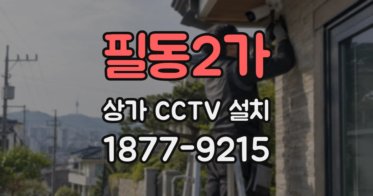 필동2가 상가 CCTV 설치