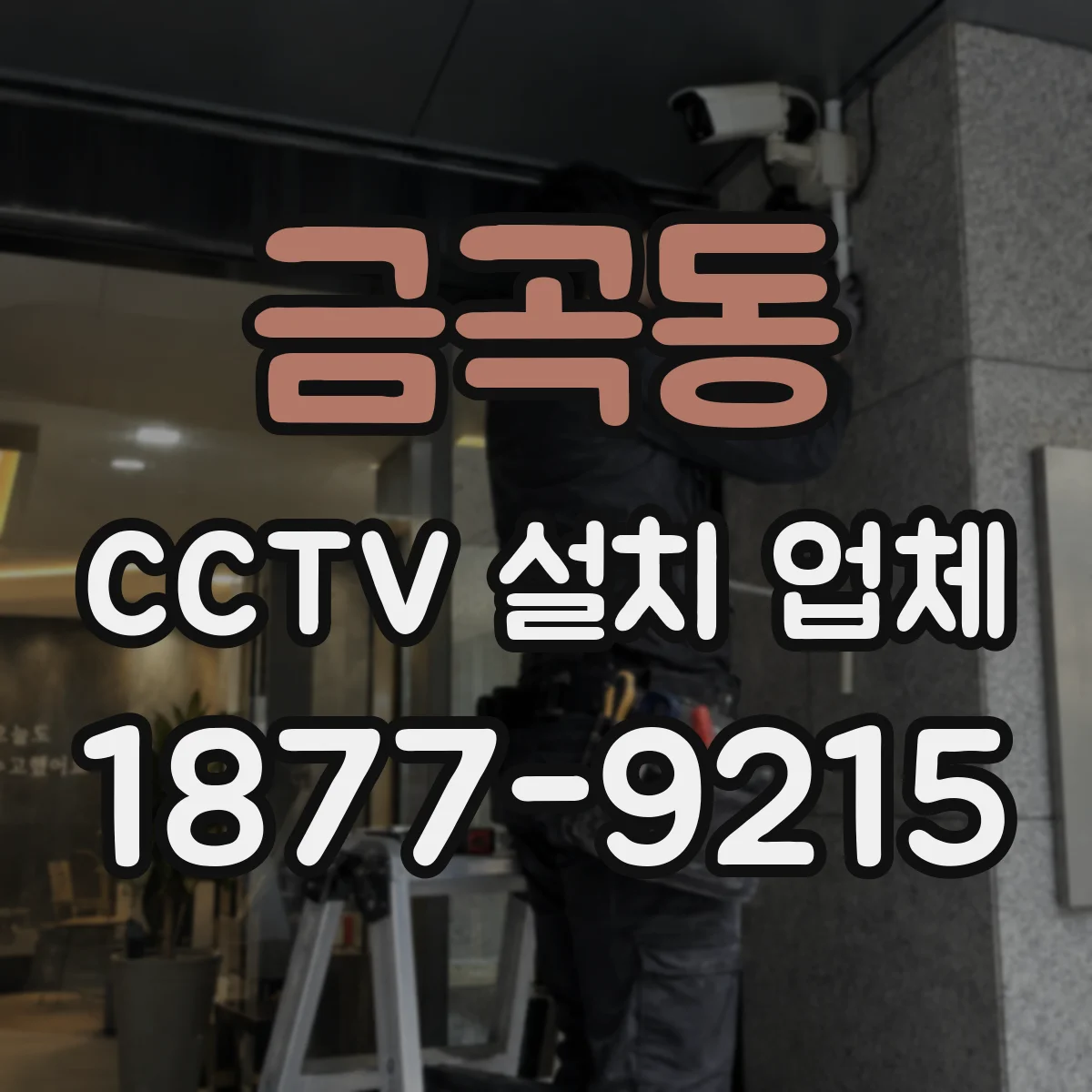 금곡동 CCTV 설치 업체