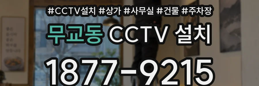 무교동 CCTV 설치