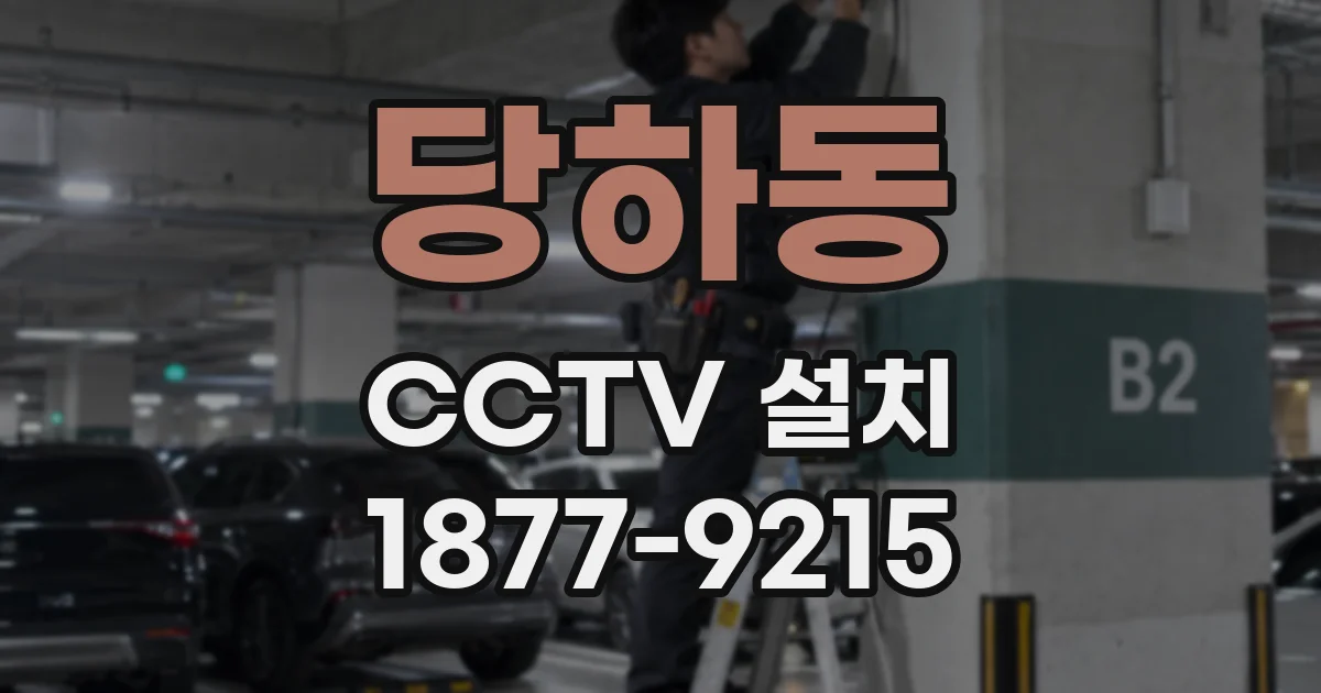 당하동 CCTV 설치