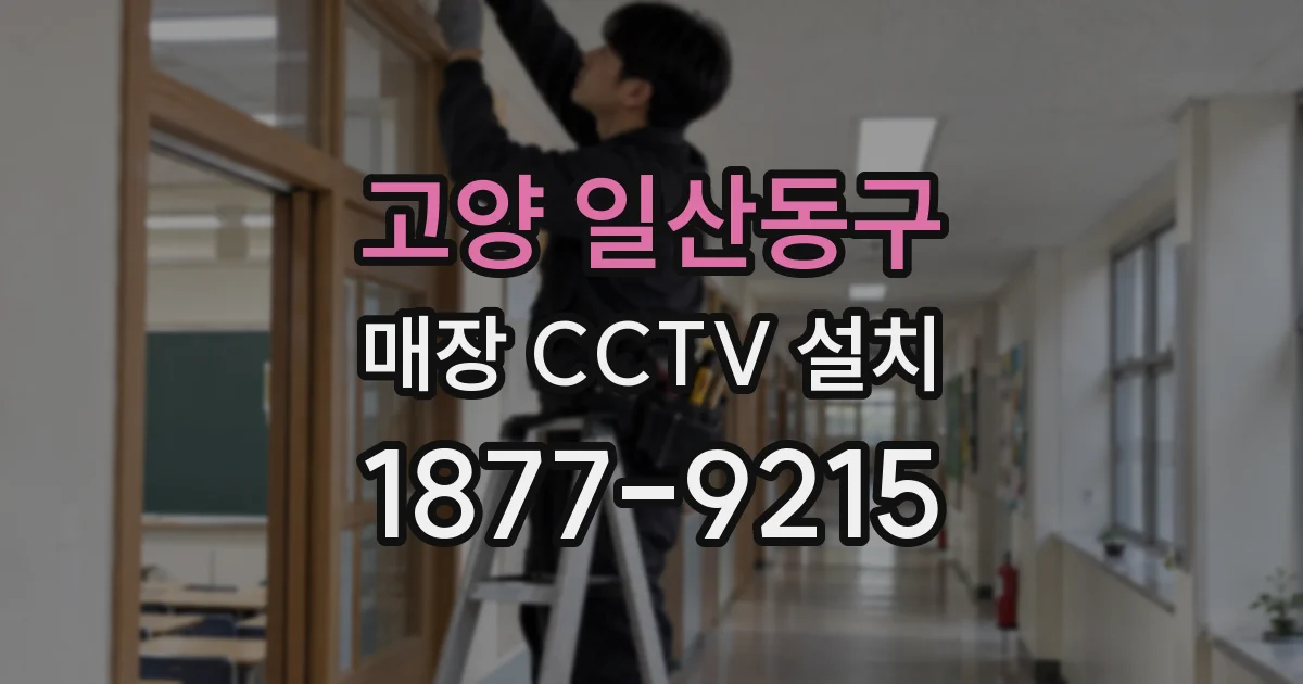 고양 일산동구 매장 CCTV 설치