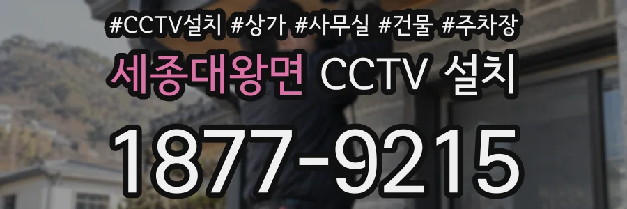 세종대왕면 CCTV 설치