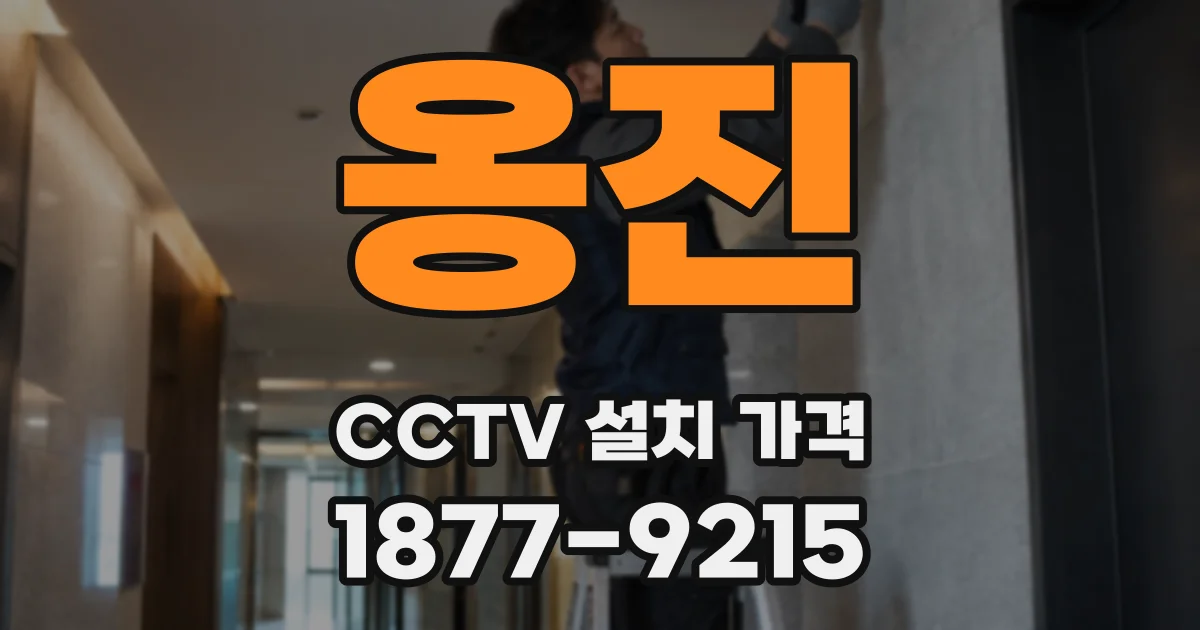 옹진 CCTV 설치 가격