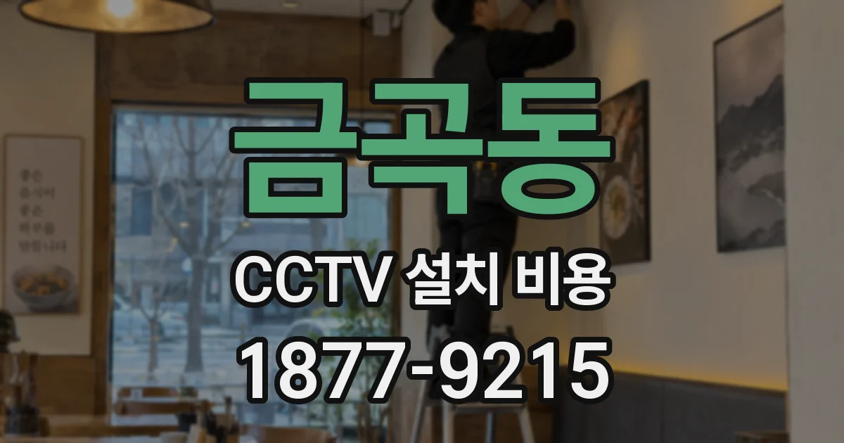 금곡동 CCTV 설치 비용