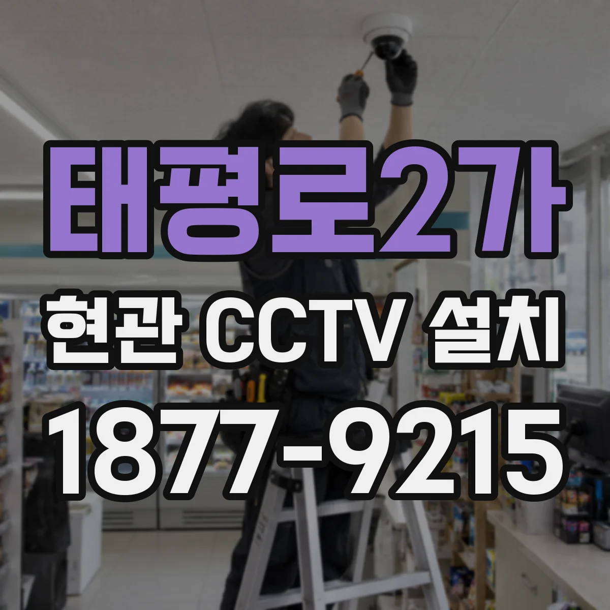 태평로2가 현관 CCTV 설치