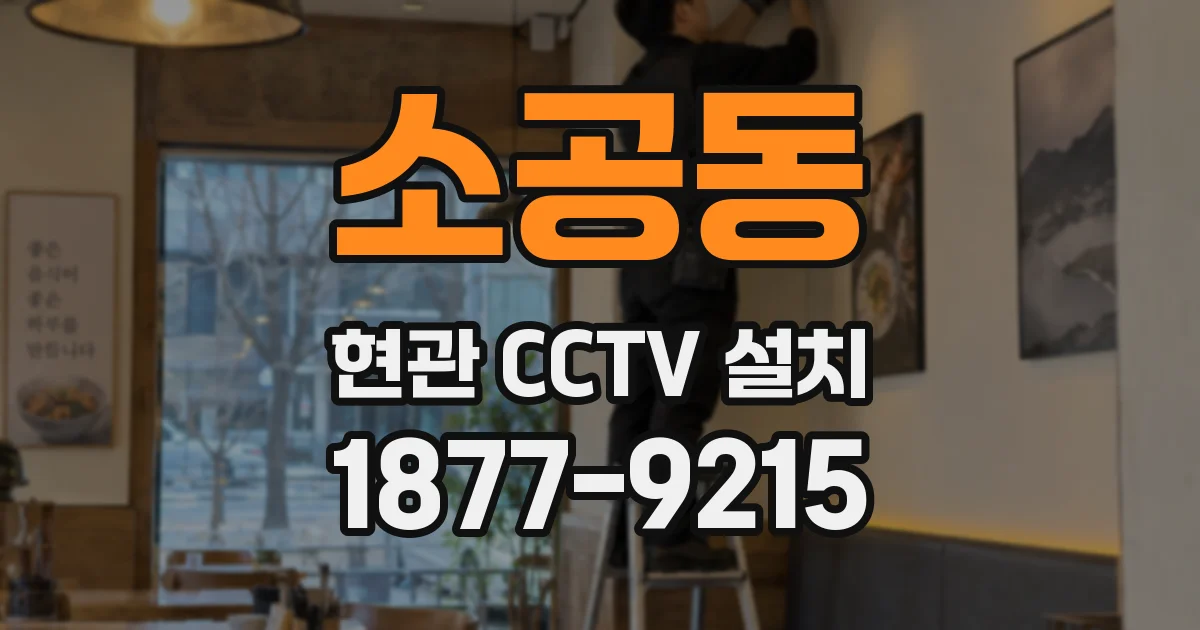 소공동 현관 CCTV 설치