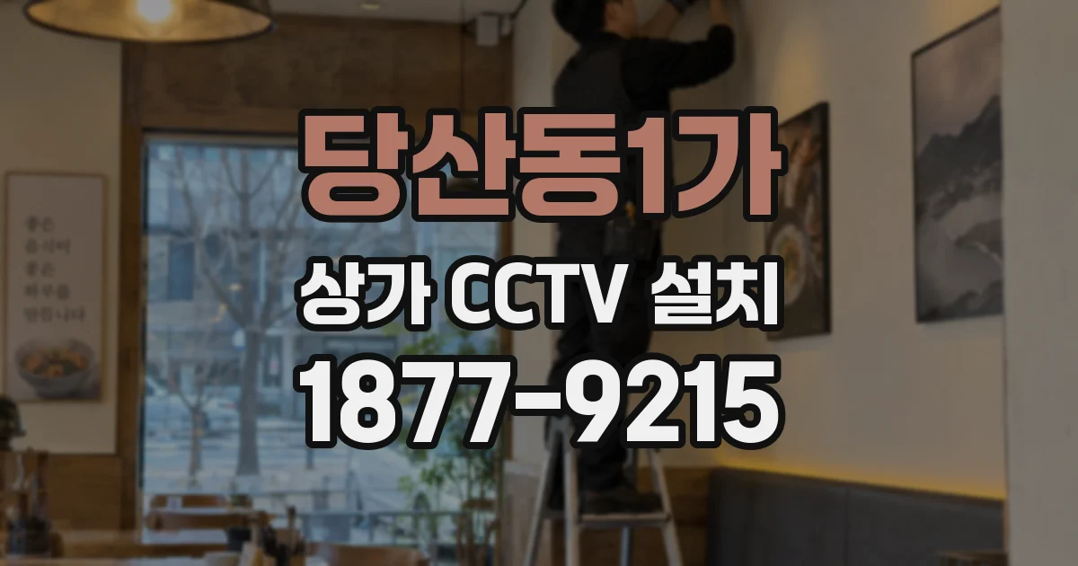 당산동1가 상가 CCTV 설치