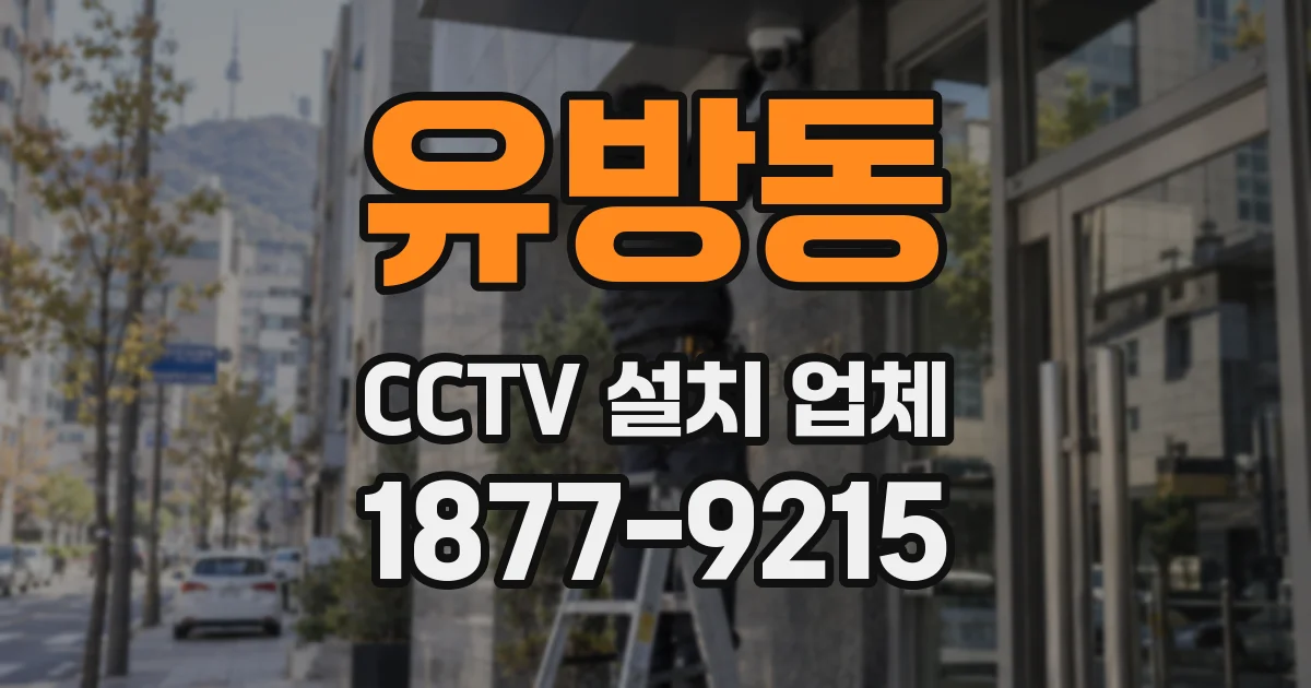 유방동 CCTV 설치 업체
