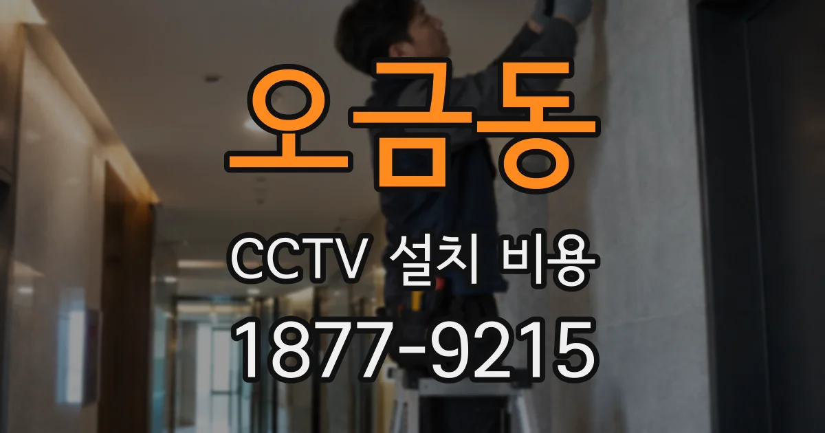 오금동 CCTV 설치 비용