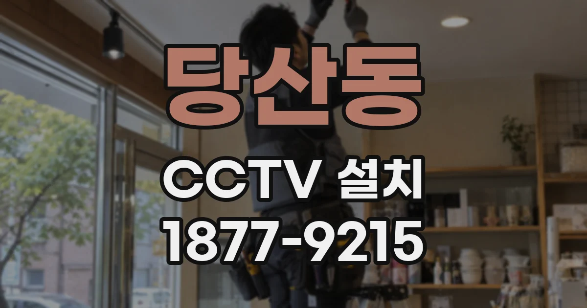당산동 CCTV 설치