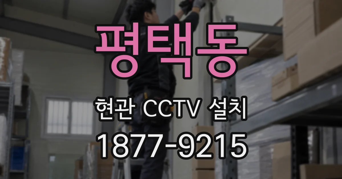 평택동 현관 CCTV 설치