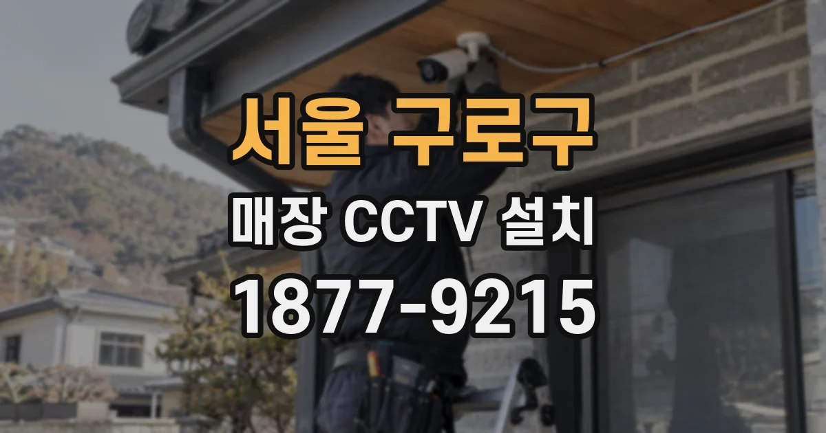 서울 구로구 매장 CCTV 설치