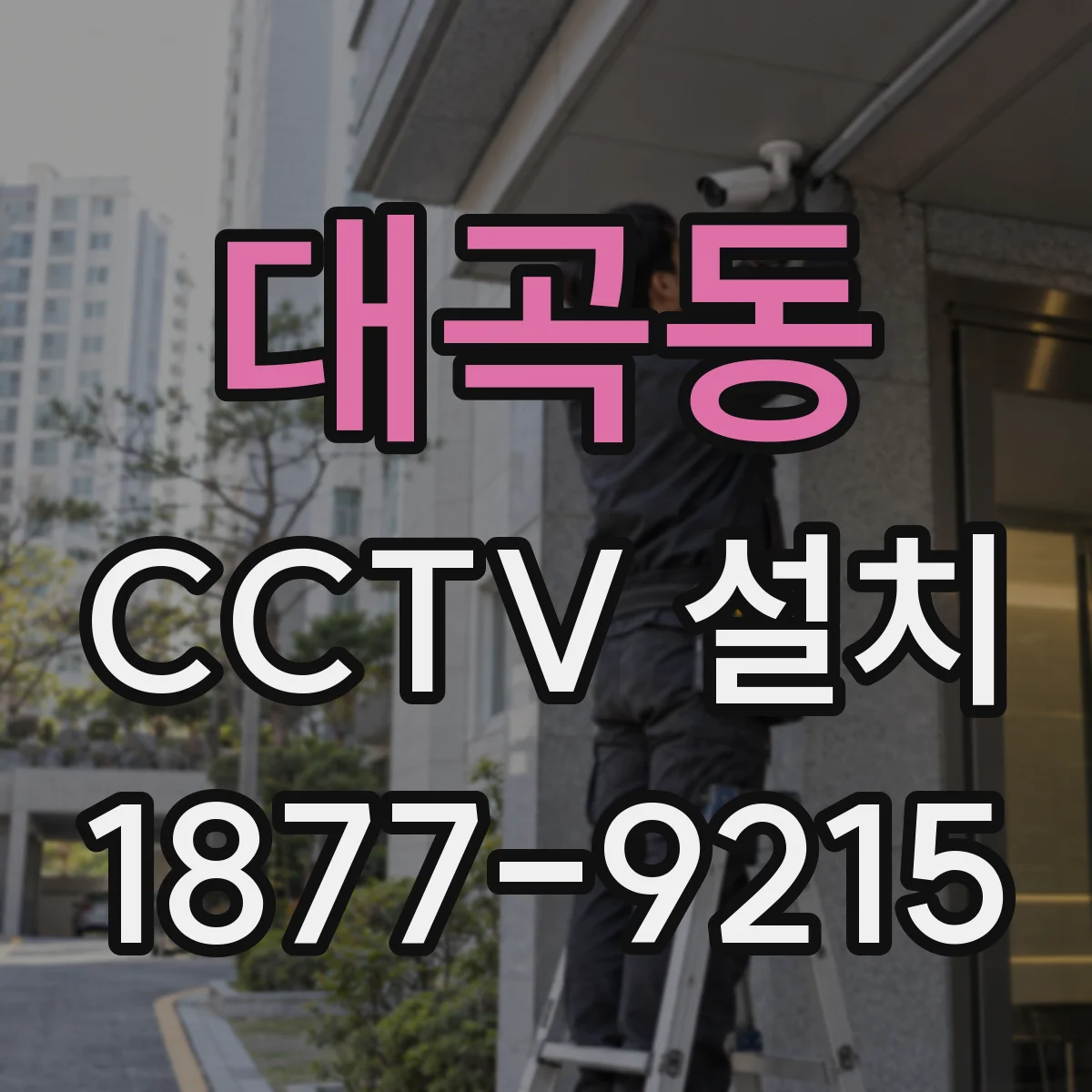대곡동 CCTV 설치