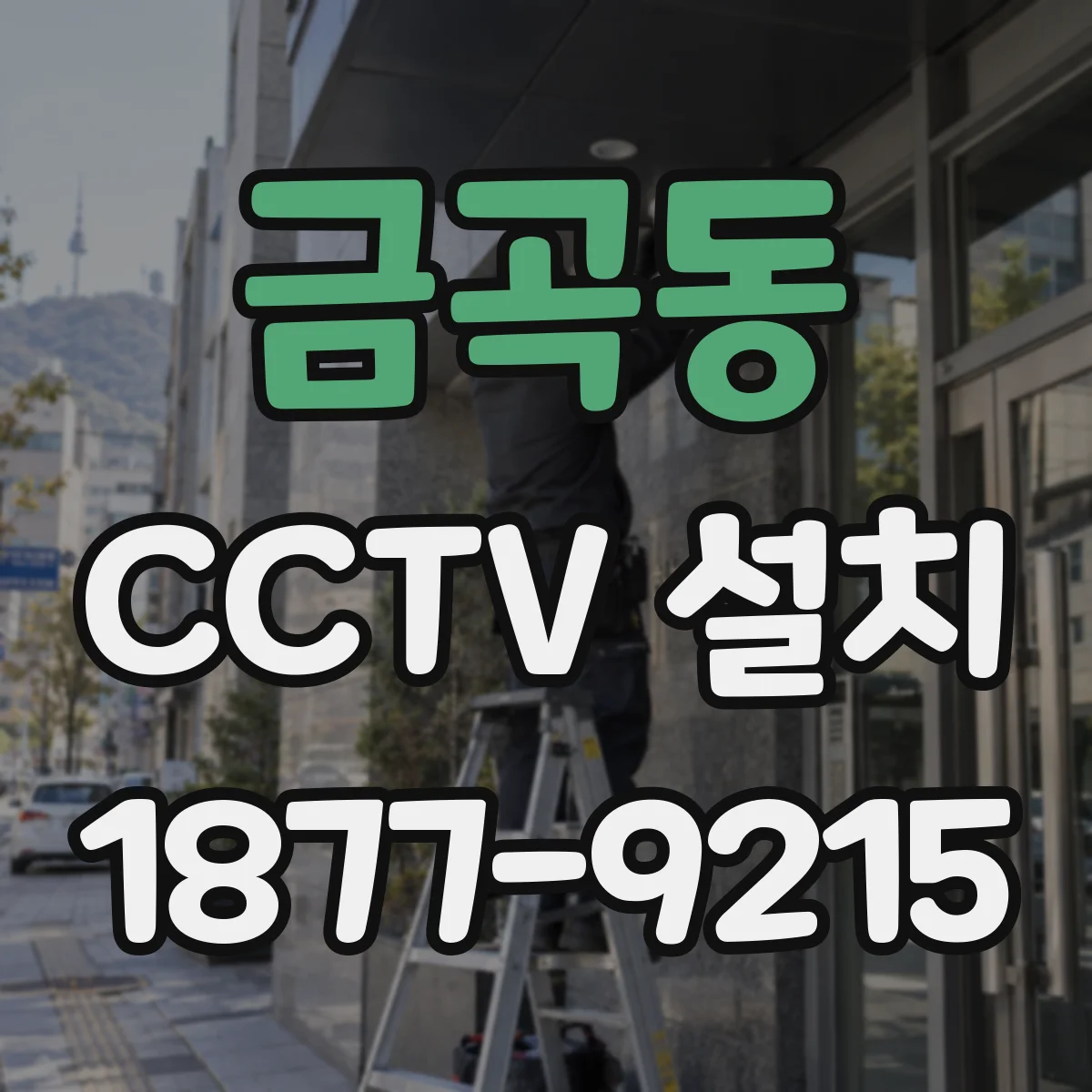 금곡동 CCTV 설치