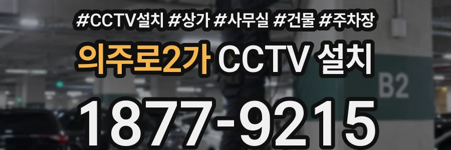 의주로2가 CCTV 설치