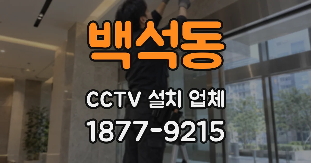 백석동 CCTV 설치 업체