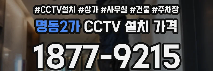 명동2가 CCTV 설치 가격