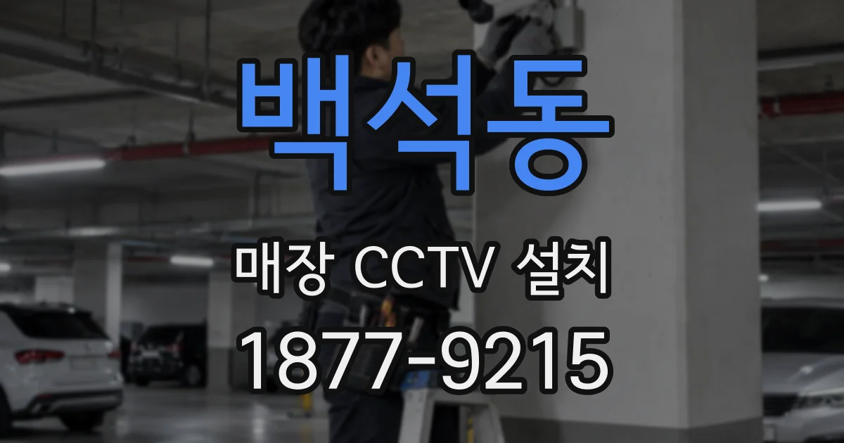 백석동 매장 CCTV 설치