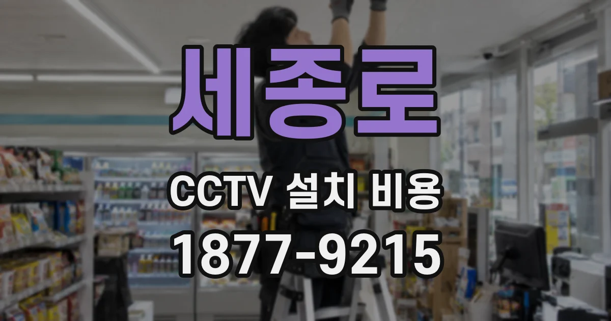 세종로 CCTV 설치 비용