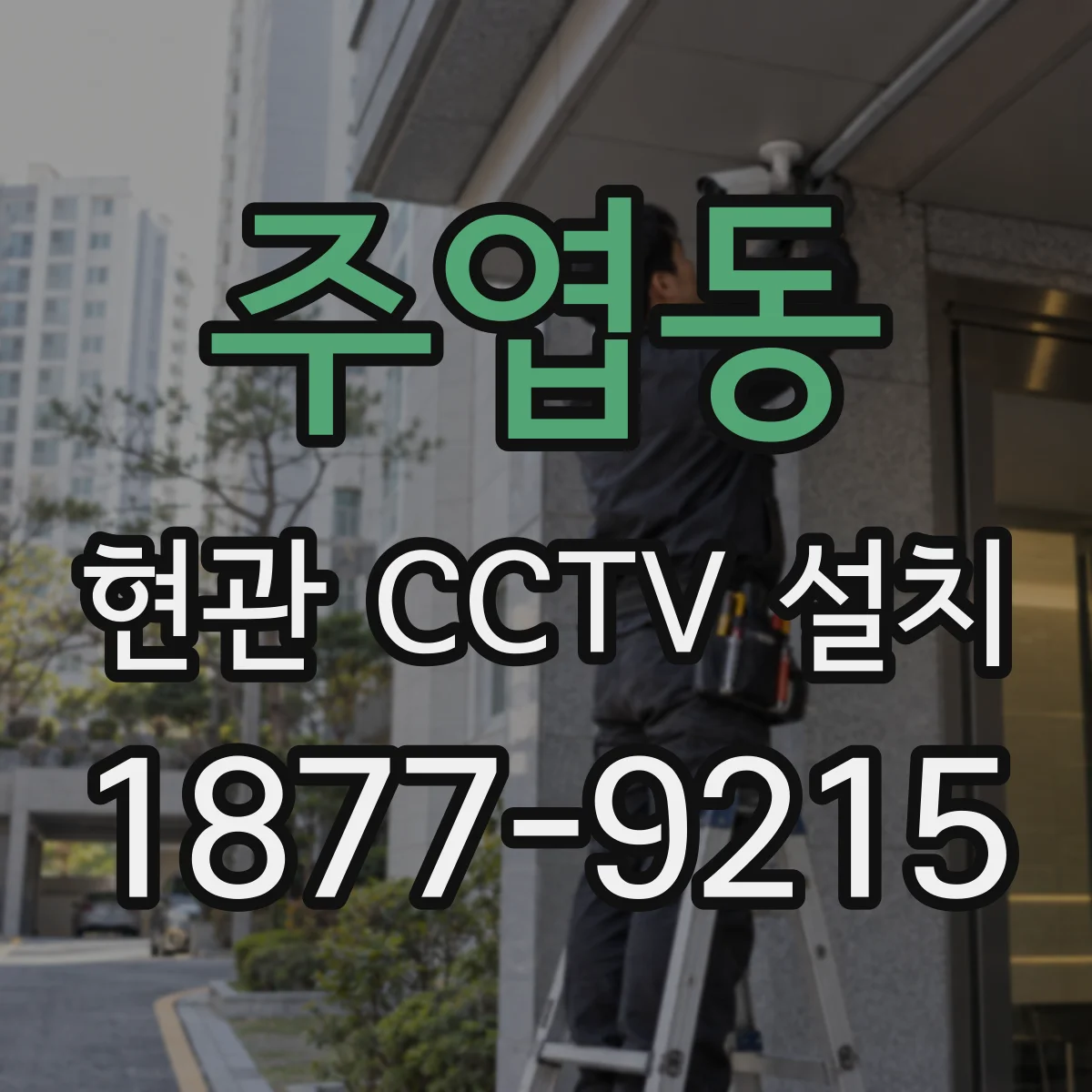 주엽동 현관 CCTV 설치