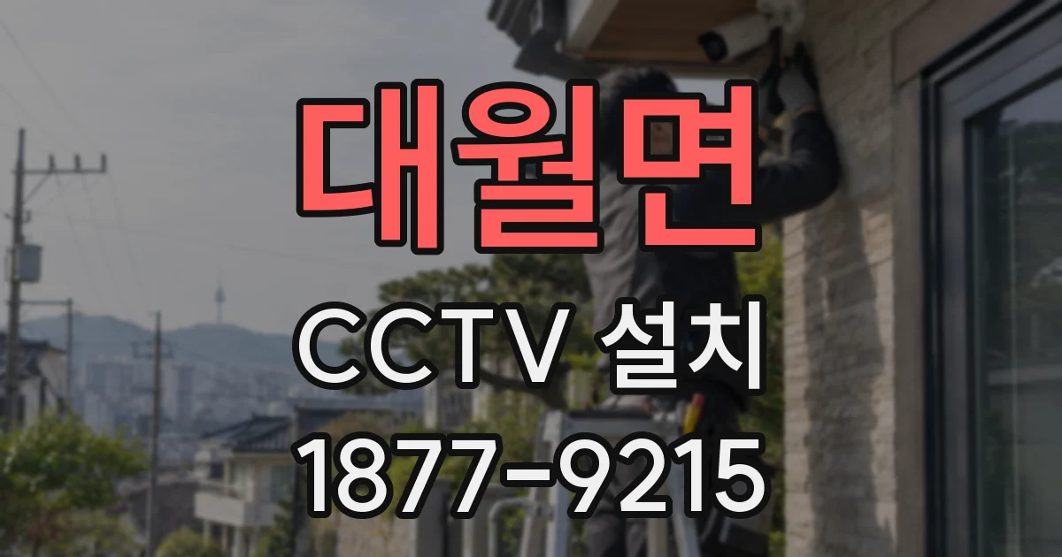 대월면 CCTV 설치