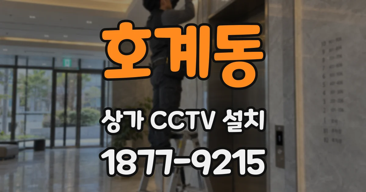 호계동 상가 CCTV 설치