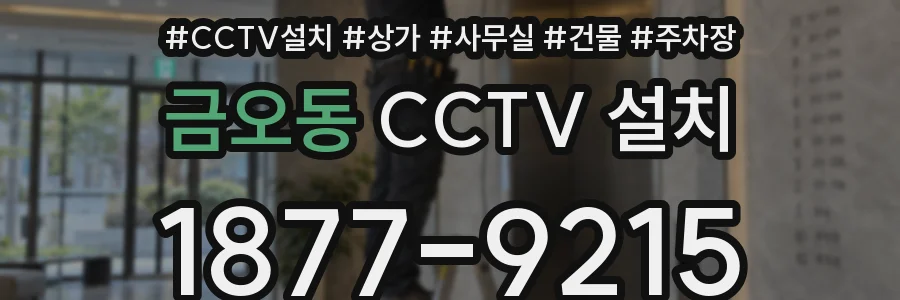 금오동 CCTV 설치