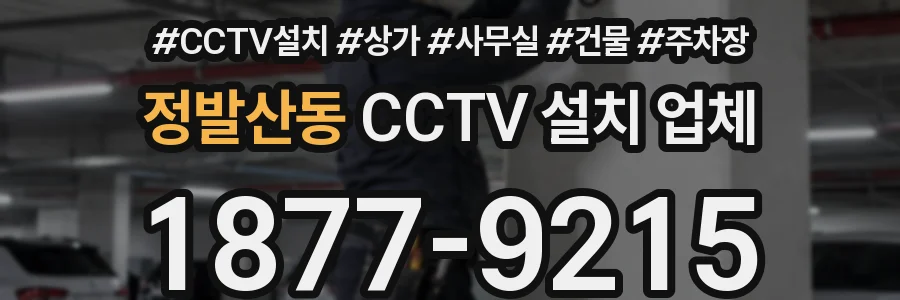 정발산동 CCTV 설치 업체