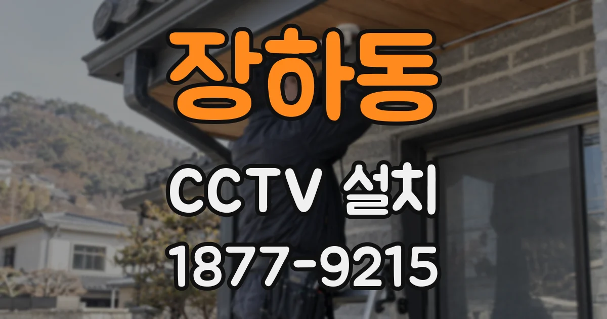 장하동 CCTV 설치