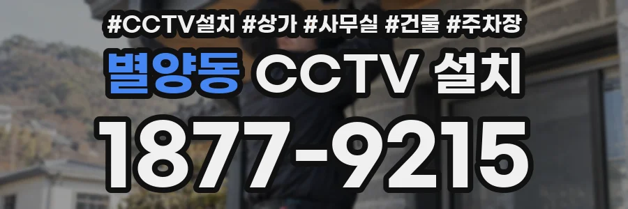 별양동 CCTV 설치