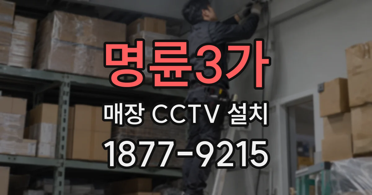 명륜3가 매장 CCTV 설치