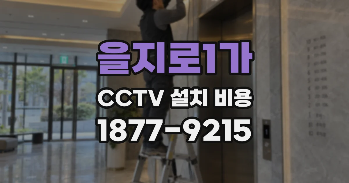 을지로1가 CCTV 설치 비용