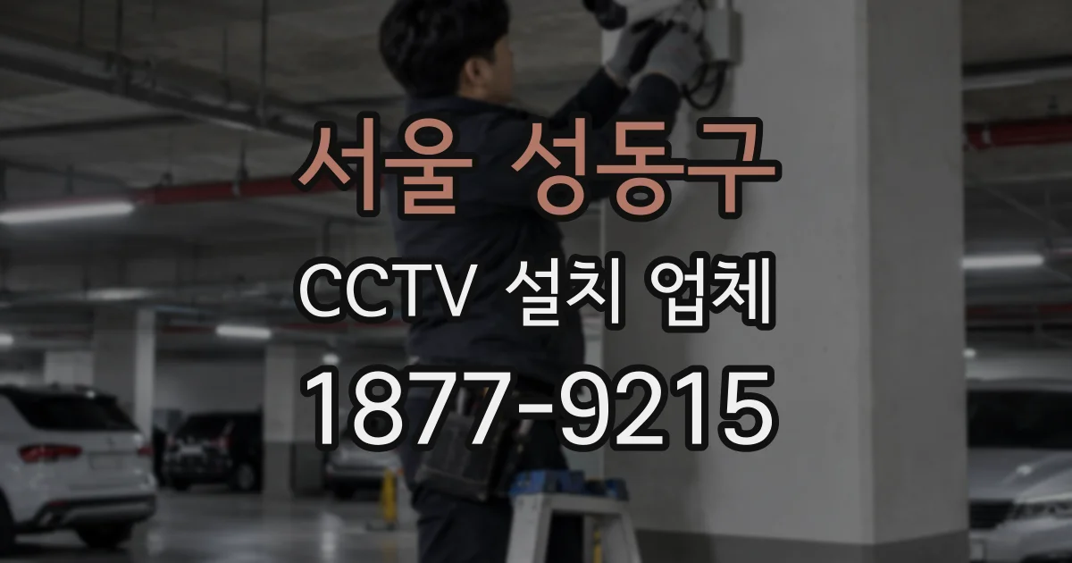 서울 성동구 CCTV 설치 업체