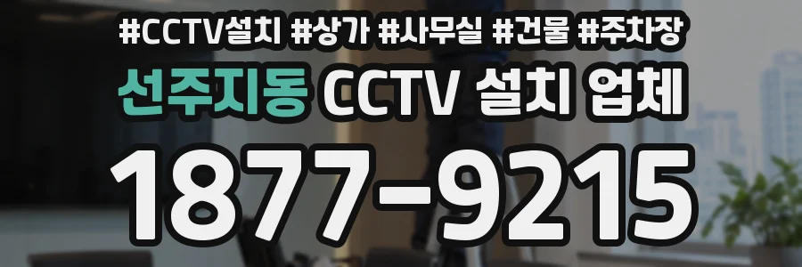 선주지동 CCTV 설치 업체
