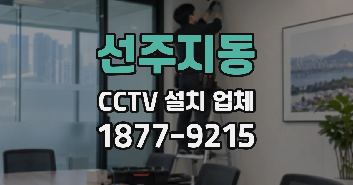 선주지동 CCTV 설치 업체