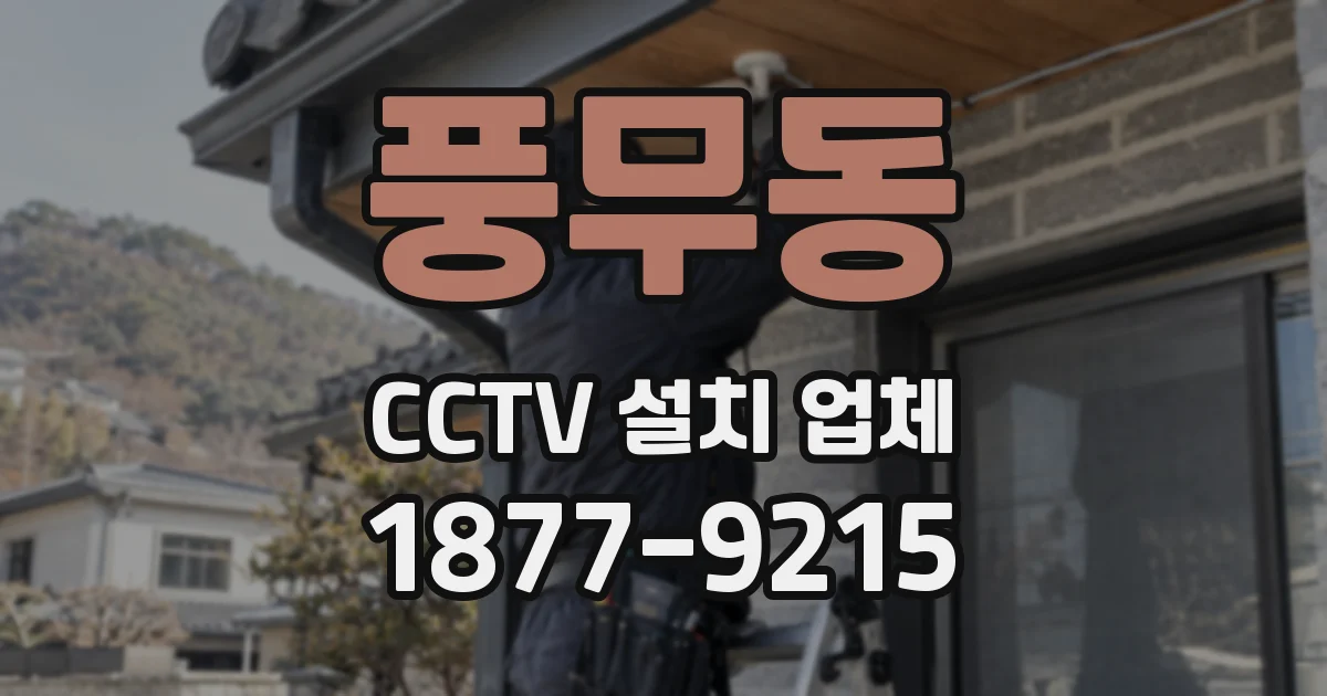 풍무동 CCTV 설치 업체