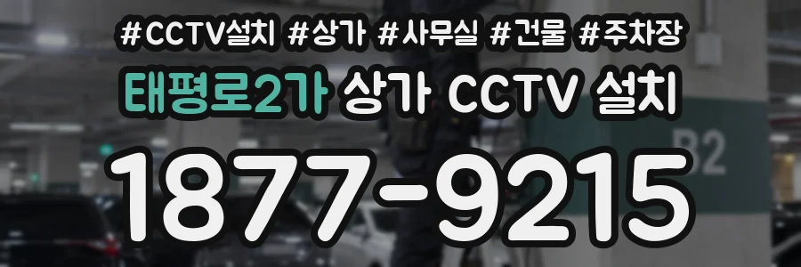 태평로2가 상가 CCTV 설치