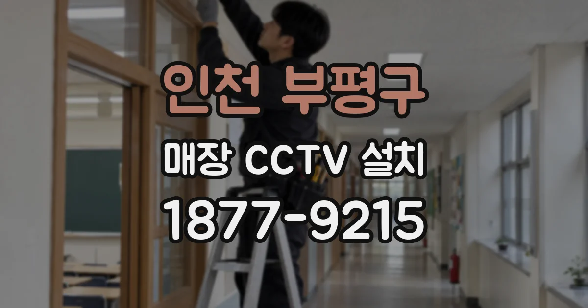 인천 부평구 매장 CCTV 설치