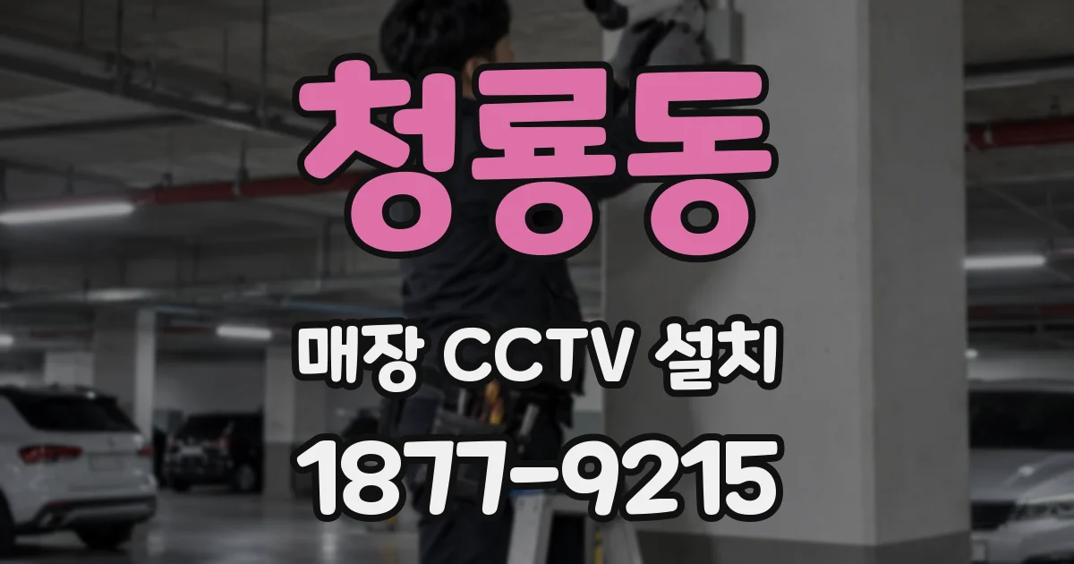 청룡동 매장 CCTV 설치