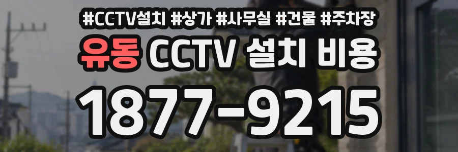 유동 CCTV 설치 비용