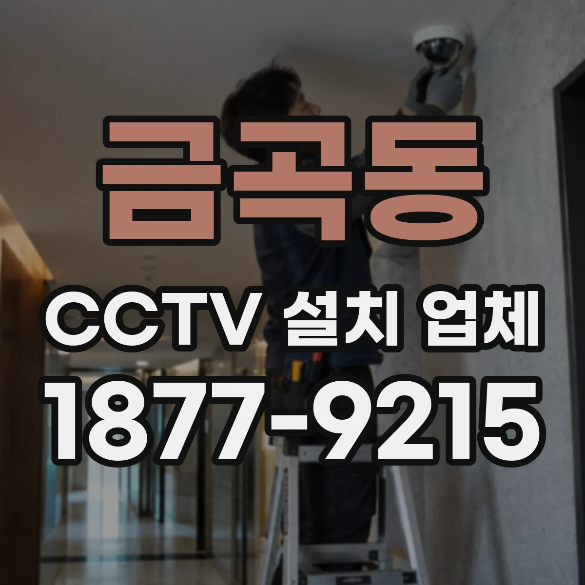 금곡동 CCTV 설치 업체