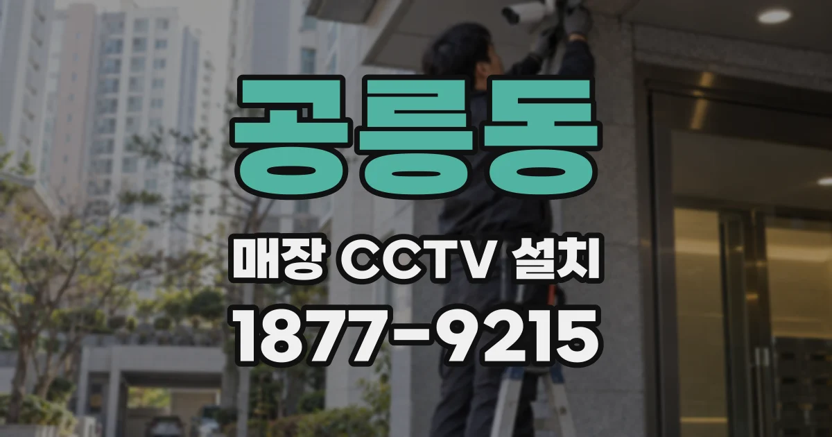 공릉동 매장 CCTV 설치