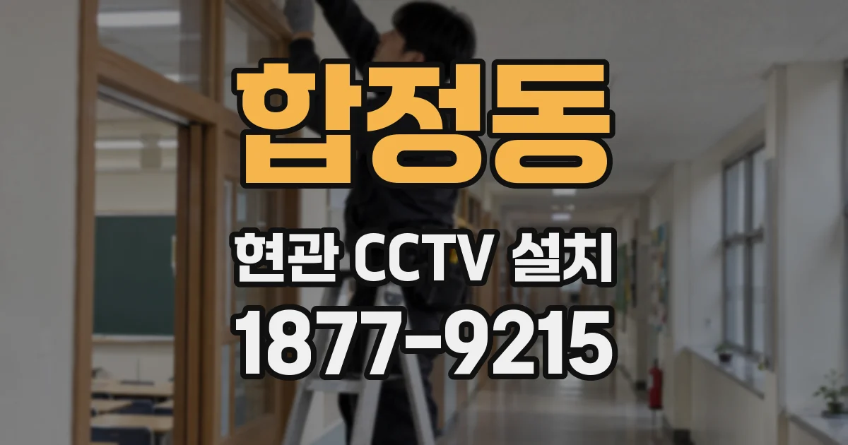 합정동 현관 CCTV 설치