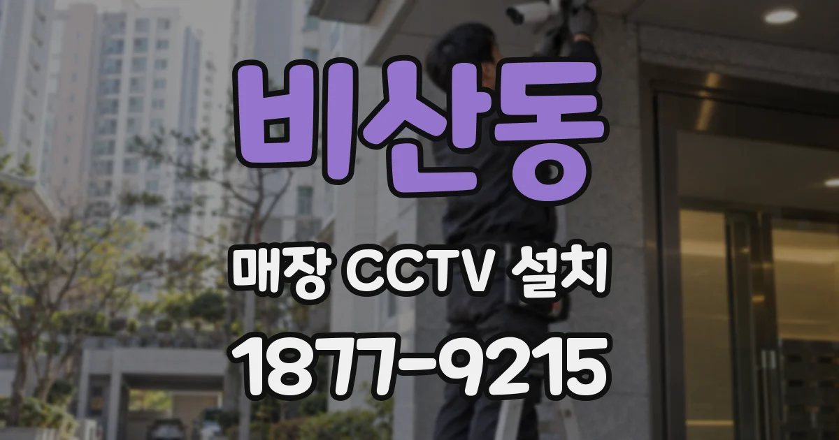 비산동 매장 CCTV 설치