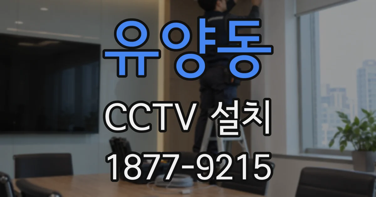 유양동 CCTV 설치
