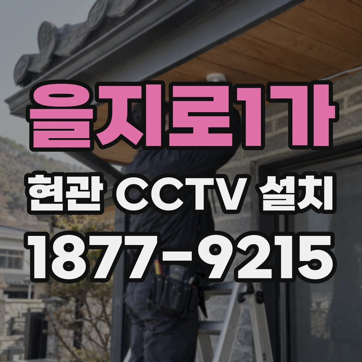 을지로1가 현관 CCTV 설치
