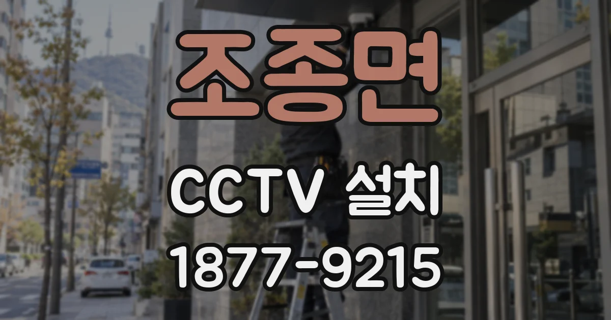 조종면 CCTV 설치