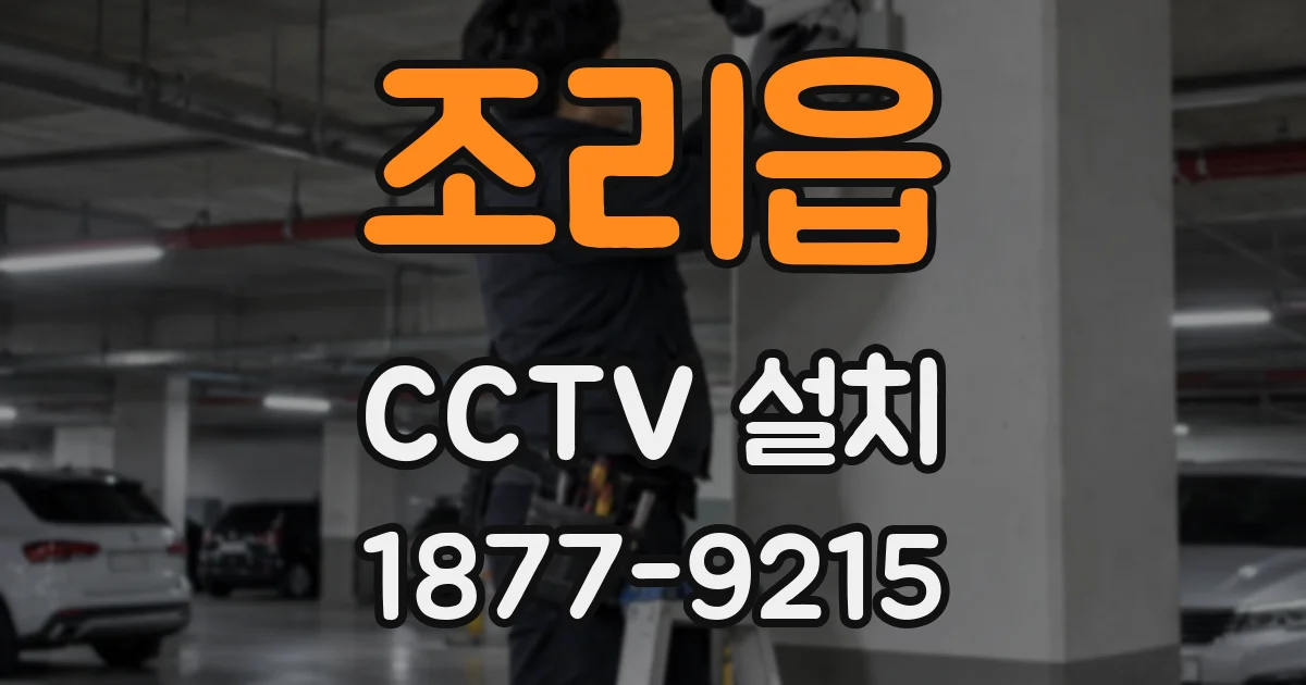 조리읍 CCTV 설치